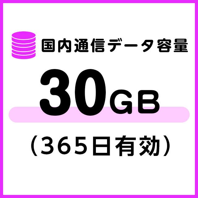 【T8端末専用】国内通信データ容量追加30ギガ（365日有効）