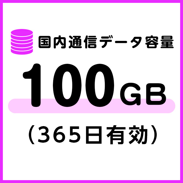 【T8端末専用】国内通信データ容量追加100ギガ（365日有効）